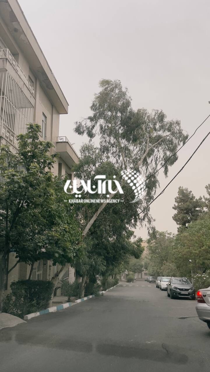 تصاویر | عکسهای اختصاصی از سقوط درخت در خیابان دولت تهران در پی طوفان شدید