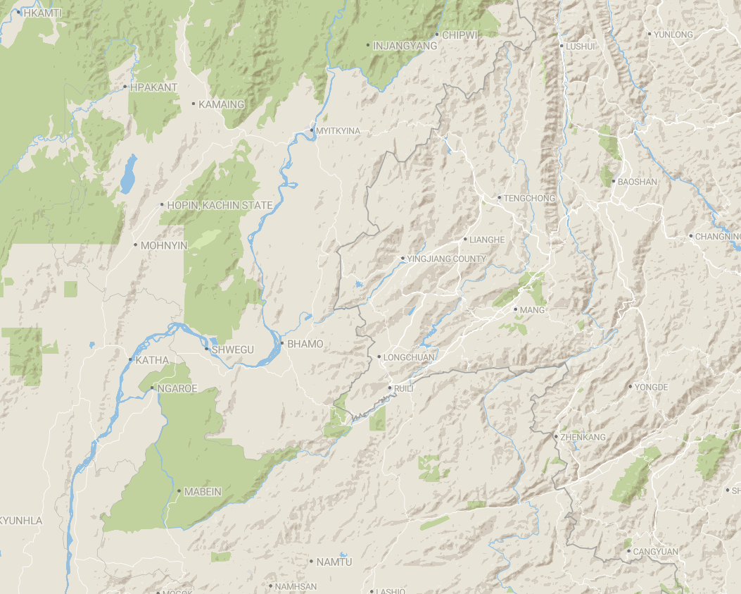 کشف یک گونه افعی تکاملیافته در چین!/ عکس