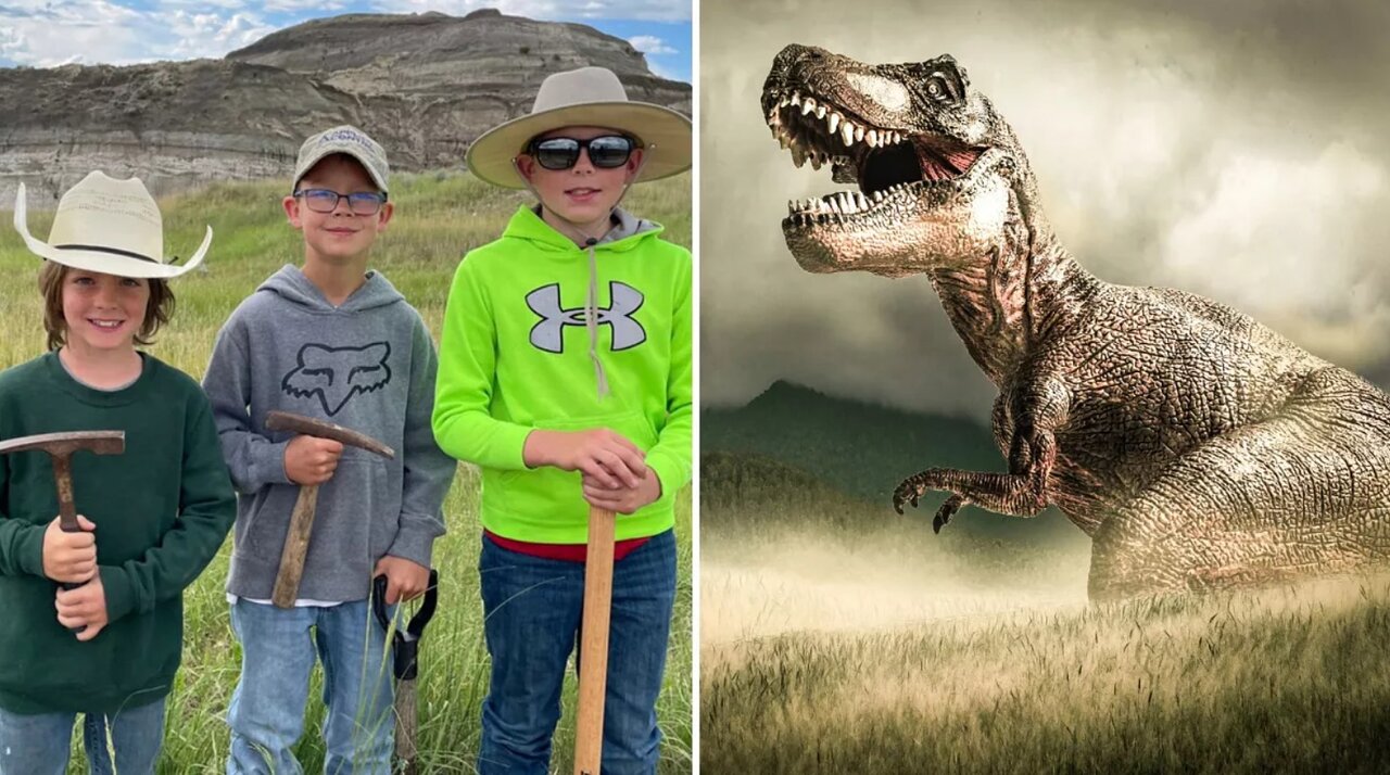 کشف فسیل دایناسور تیرکس توسط سه پسربچه/ عکس