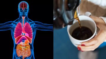 مصرف بیش از حد کافئین چه بلایی بر سر بدنتان میآورد؟ مصرف بیش از حد کافئین چه بلایی بر سر بدنتان میآورد؟