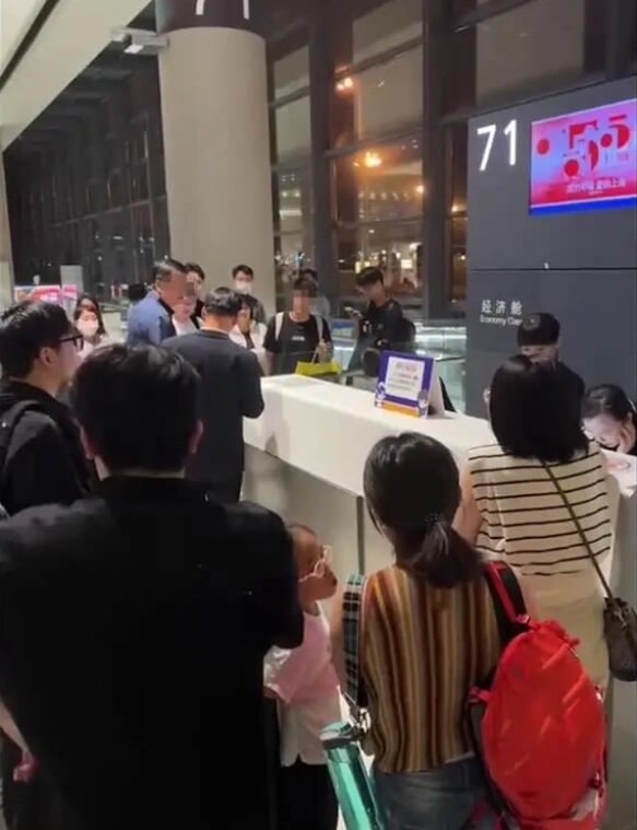 تاخیر در پرواز هواپیما بخاطر این موجود عجیب/ عکس