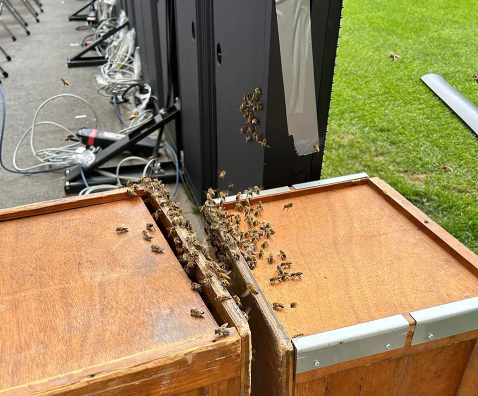 عکس| بمب در استادیوم یورو 2024!