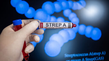 شیوع باکتری گوشتخوار در ژاپن/ مرگ و میر در عرض ۴۸ ساعت/ حدود ۱۰۰۰ مبتلا و بیش از ۷۰ کشته شیوع باکتری گوشتخوار در ژاپن/ مرگ و میر در عرض ۴۸ ساعت/ حدود ۱۰۰۰ مبتلا و بیش از ۷۰ کشته