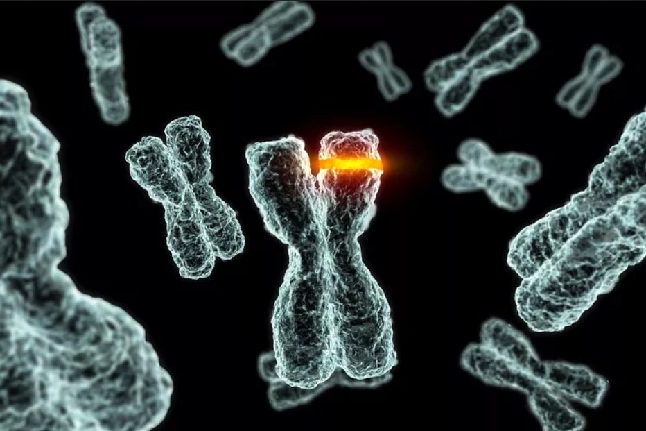 ما خاطرات اجدادمان را به ارث بردهایم؟