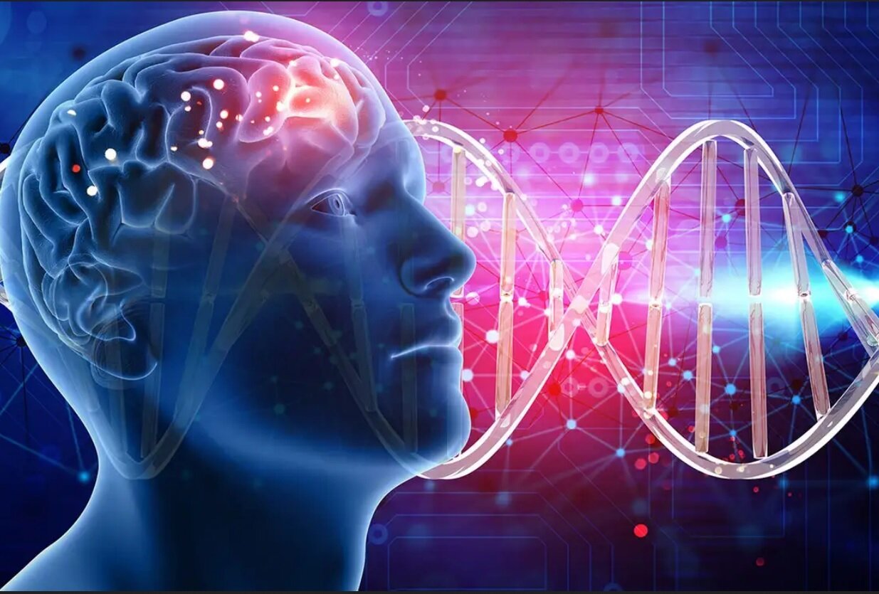 ما خاطرات اجدادمان را به ارث بردهایم؟