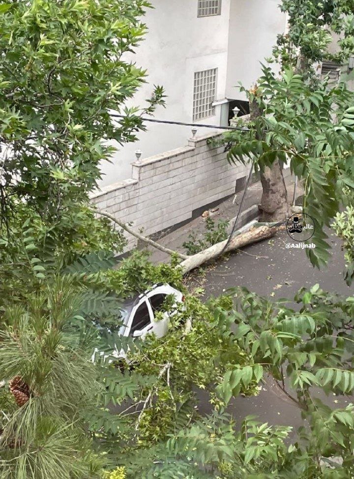 عکس | طوفان در تهران خسارت به پا کرد