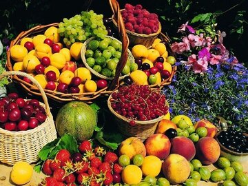 رواج «نیم کیلو» فروشی در بازار میوه / علت گرانی میوه‌های تابستانه چیست؟