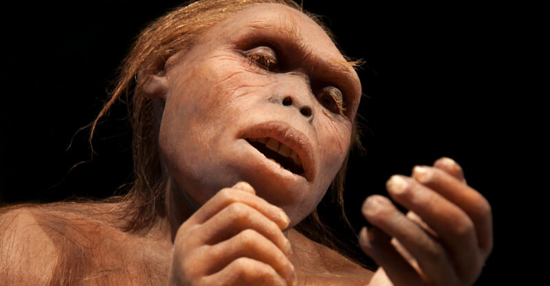 پیشرفت حیرتانگیز تکنولوژی در نیممیلیون سال قبل / راز جهش انسانهای ماقبلتاریخ چیست؟