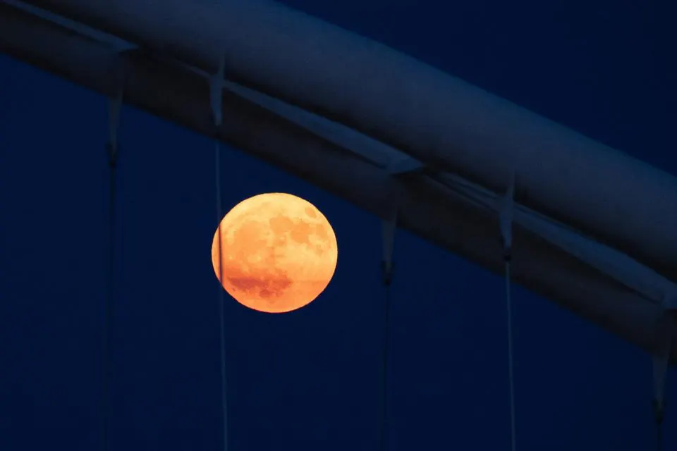 گزارش تصویری| لحظه پدیدار شدن ماه توت فرنگی در سراسر جهان!