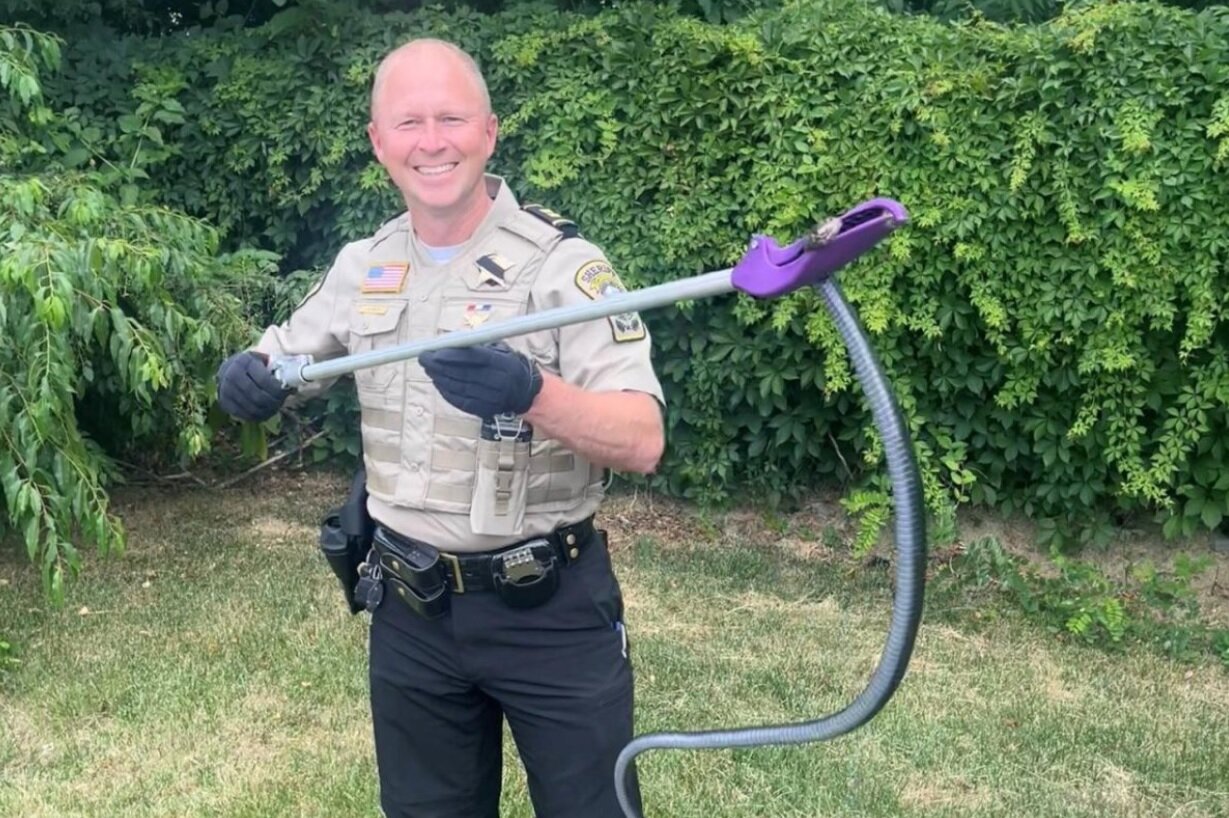 وجود مار ۱۲۲ سانتیمتری در جعبه کتابهای اهدایی/ عکس