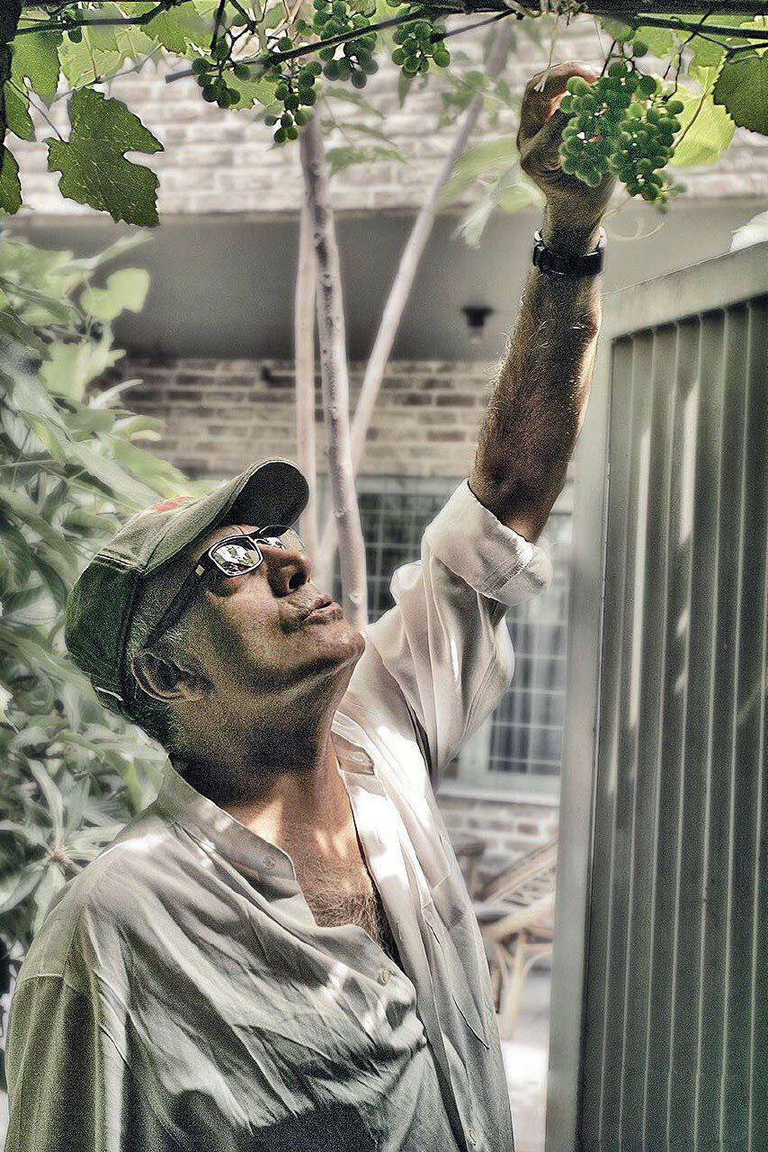 تصاویر دیده نشده از عباس کیارستمی