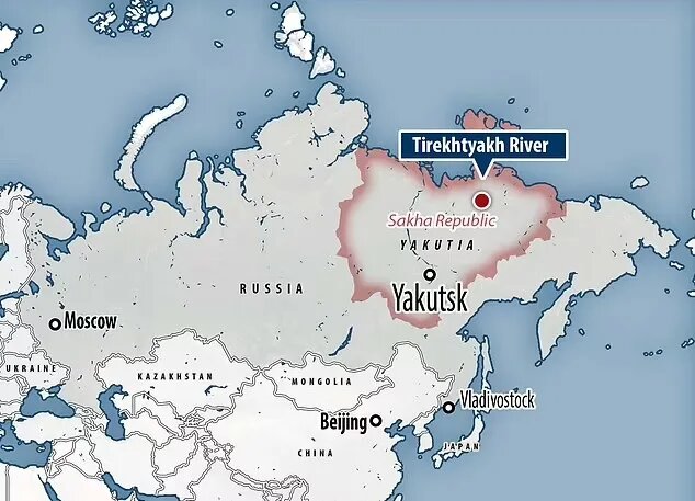 گرگ ۴۴هزار ساله با دندانهای سالم پیدا شد/ عکس