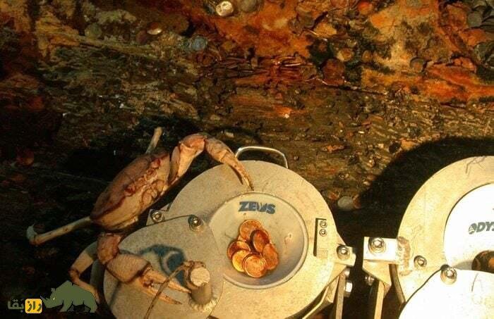 جنگ ۳۰۰ ساله برای تصاحب ۲۰۰ تن طلا؛ سرنوشت بزرگترین گنج جهان چه میشود؟