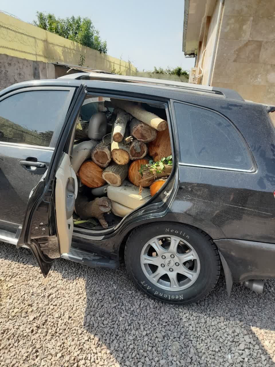 شگرد جدید قاچاقچیان چوب؛ حمل با خودروهای شاسیبلند!/ عکس