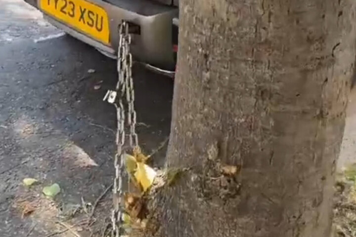 ببینید | افزایش سرقت خودرو در لندن؛ مالکان دست به دامن درخت‌ها شدند!