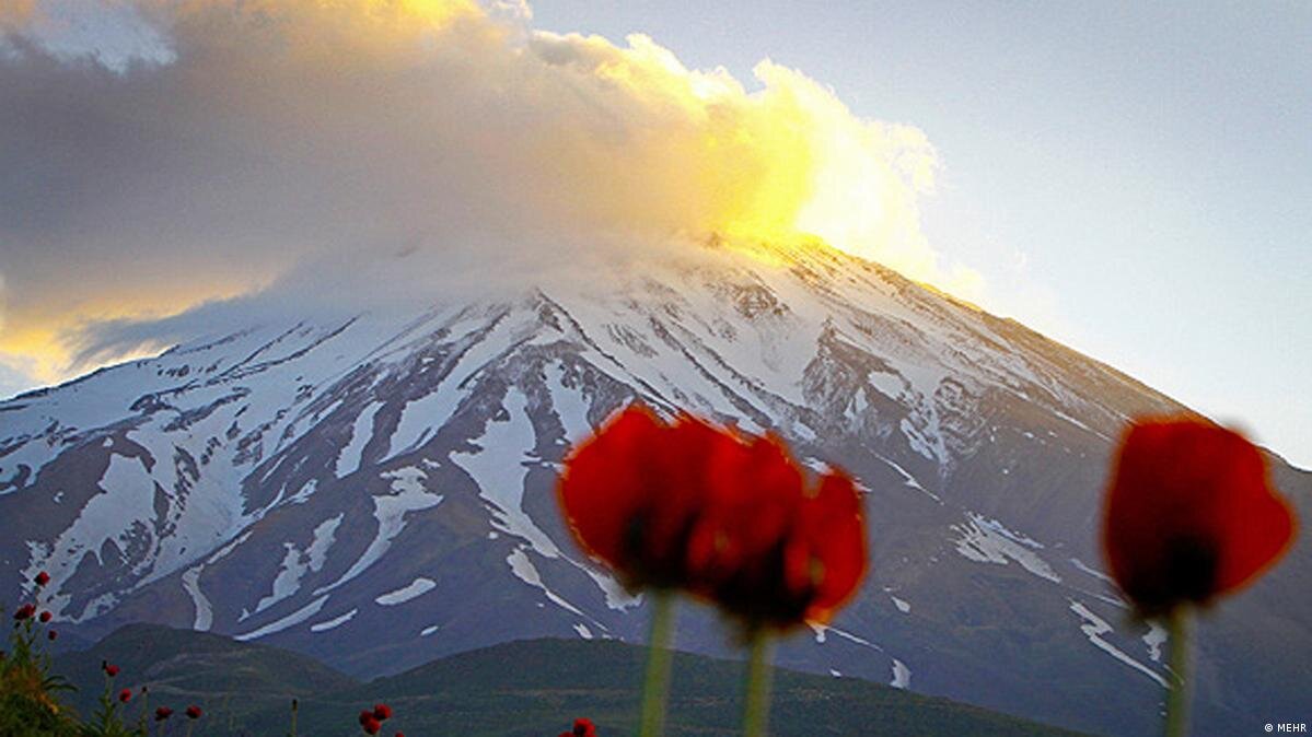 زیباترین عکس‌ها از دیو سپید 2