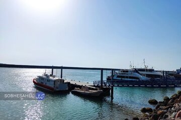 ممنوعیت به کار گیری اتباع در این جزیره