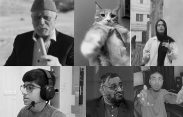 «واگعیه یا کیکه» رکورد میمهای کاربردی کاربران ایرانی را شکست!