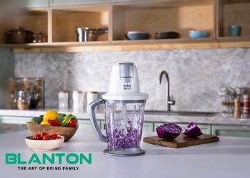 راهنمای جامع خرید خردکن برقی