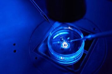 اولین «قرص بارداری» ساخته شد اولین «قرص بارداری» ساخته شد