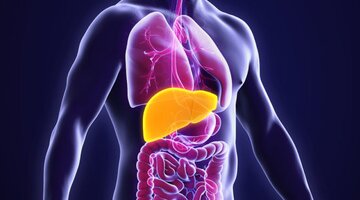 بهبود کبد چرب با مصرف این ماده غذایی بهبود کبد چرب با مصرف این ماده غذایی