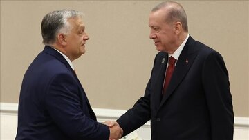 اردوغان حمایت می‌خواهد!