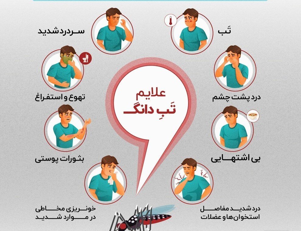 تب دنگی چند روز طول میکشد؟/ علائم گزش پشه آئدس