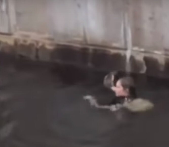 زنی به درون رودخانه پرید تا خرگوشی را نجات دهد/ عکس 1 زنی به درون رودخانه پرید تا خرگوشی را نجات دهد/ عکس