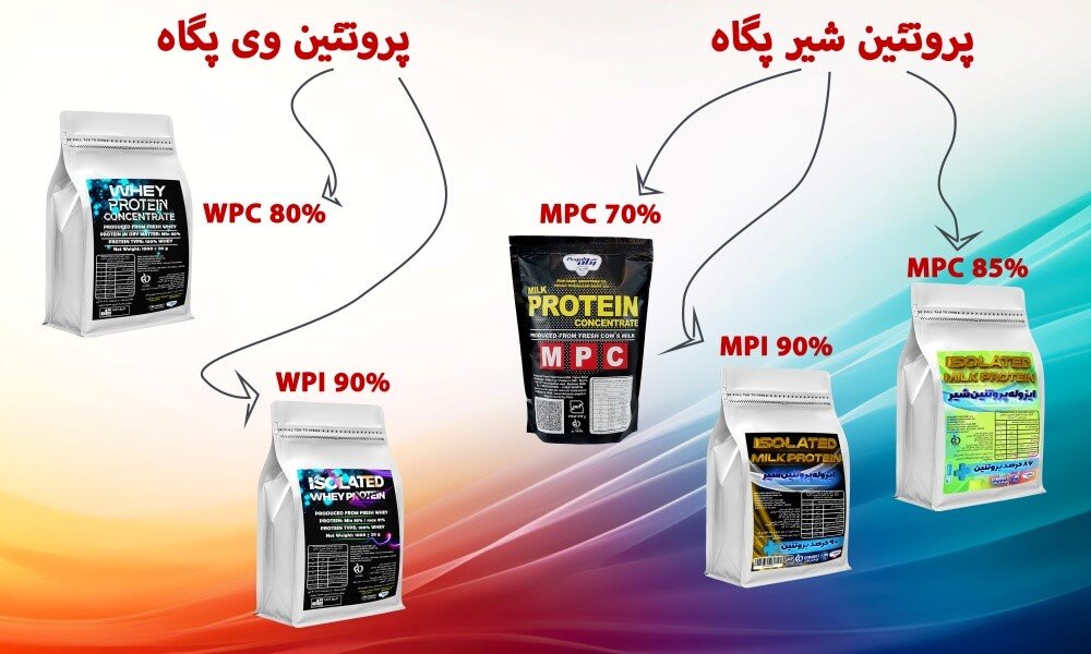 شاخه های بدنسازی: معرفی و بررسی انواع رشتههای بدنسازی