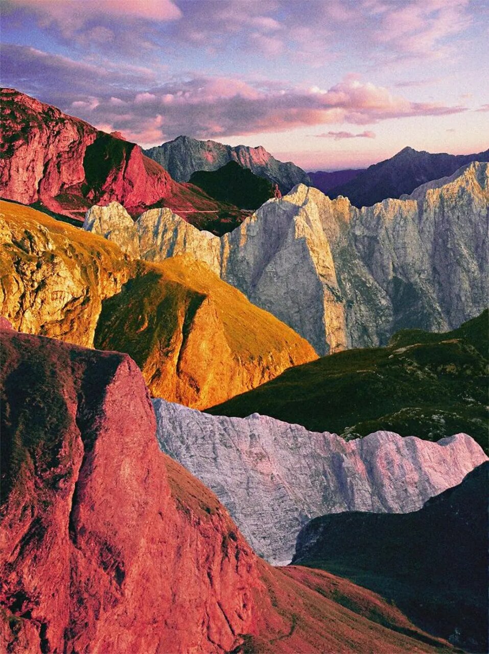 برندگان عجیبةرین مسابقه بینالمللی عکاسی: عکاسی آنالوگ برندگان عجیبةرین مسابقه بینالمللی عکاسی: عکاسی آنالوگ