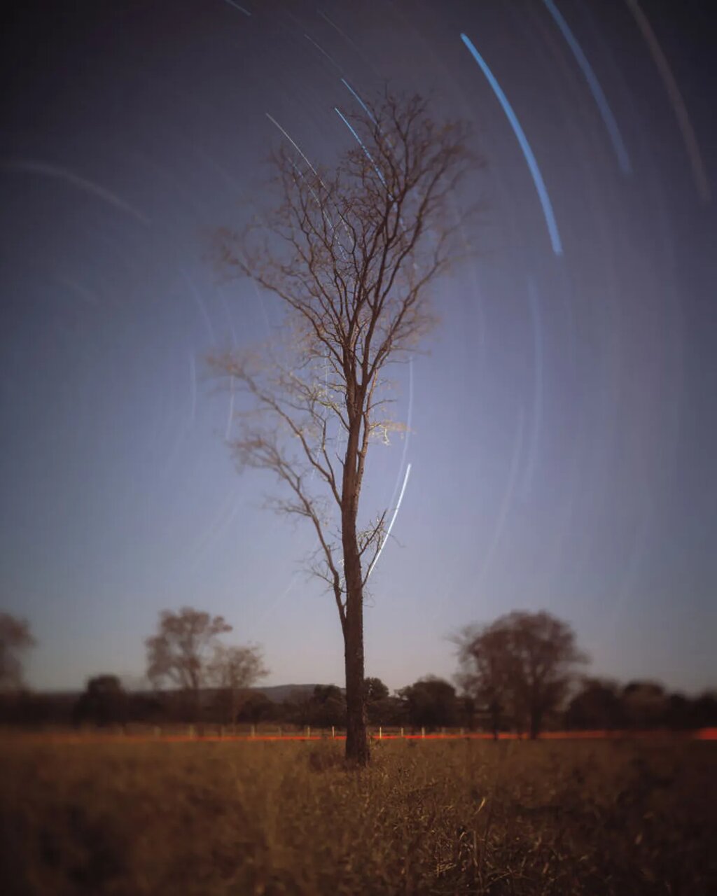 برندگان عجیبةرین مسابقه بینالمللی عکاسی: عکاسی آنالوگ برندگان عجیبةرین مسابقه بینالمللی عکاسی: عکاسی آنالوگ