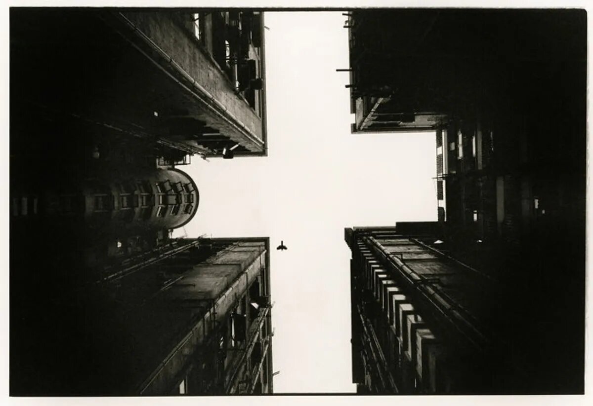 برندگان عجیبةرین مسابقه بینالمللی عکاسی: عکاسی آنالوگ برندگان عجیبةرین مسابقه بینالمللی عکاسی: عکاسی آنالوگ