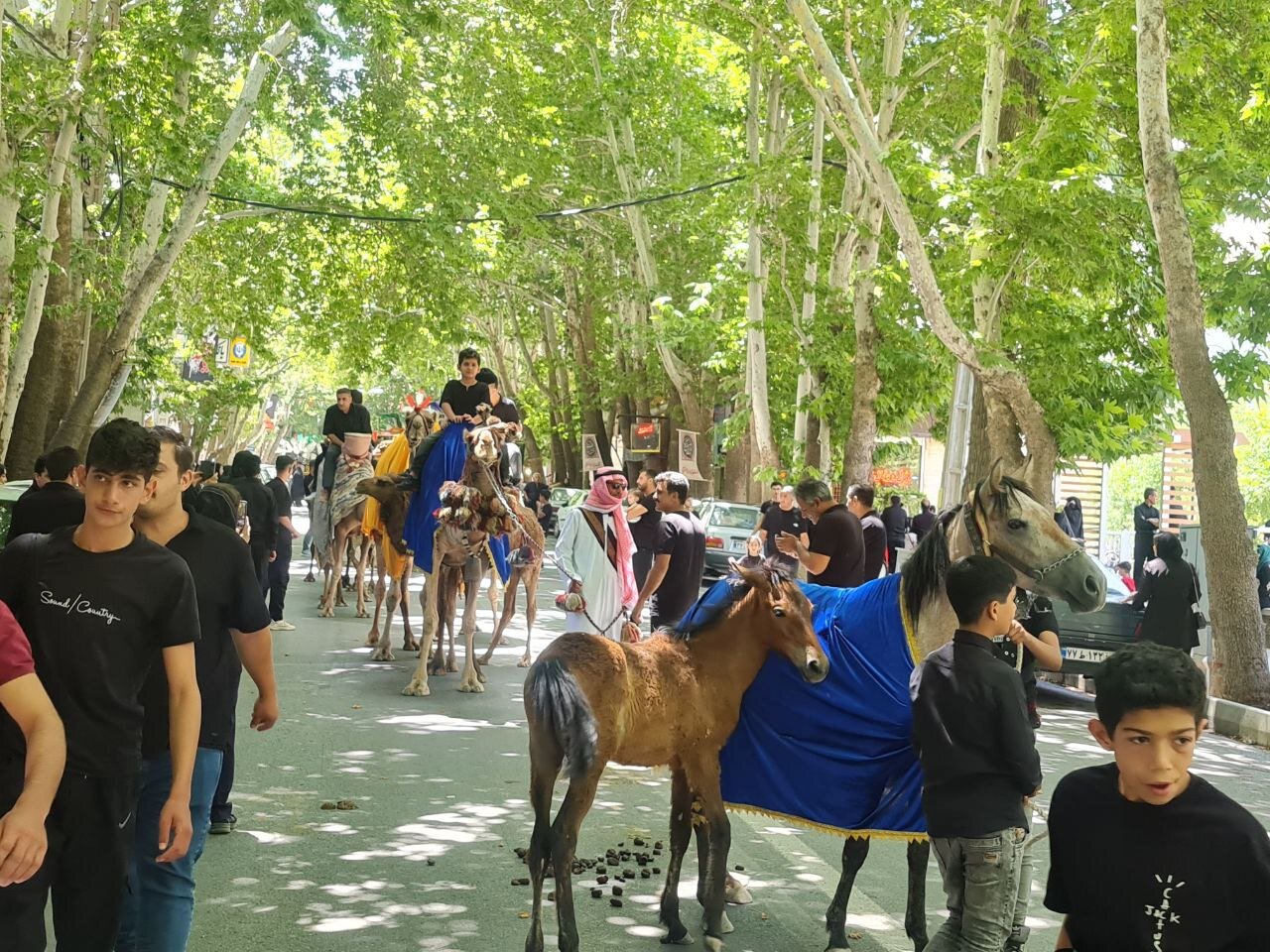 آیینهای محرم خوانسار به روایت تصویر