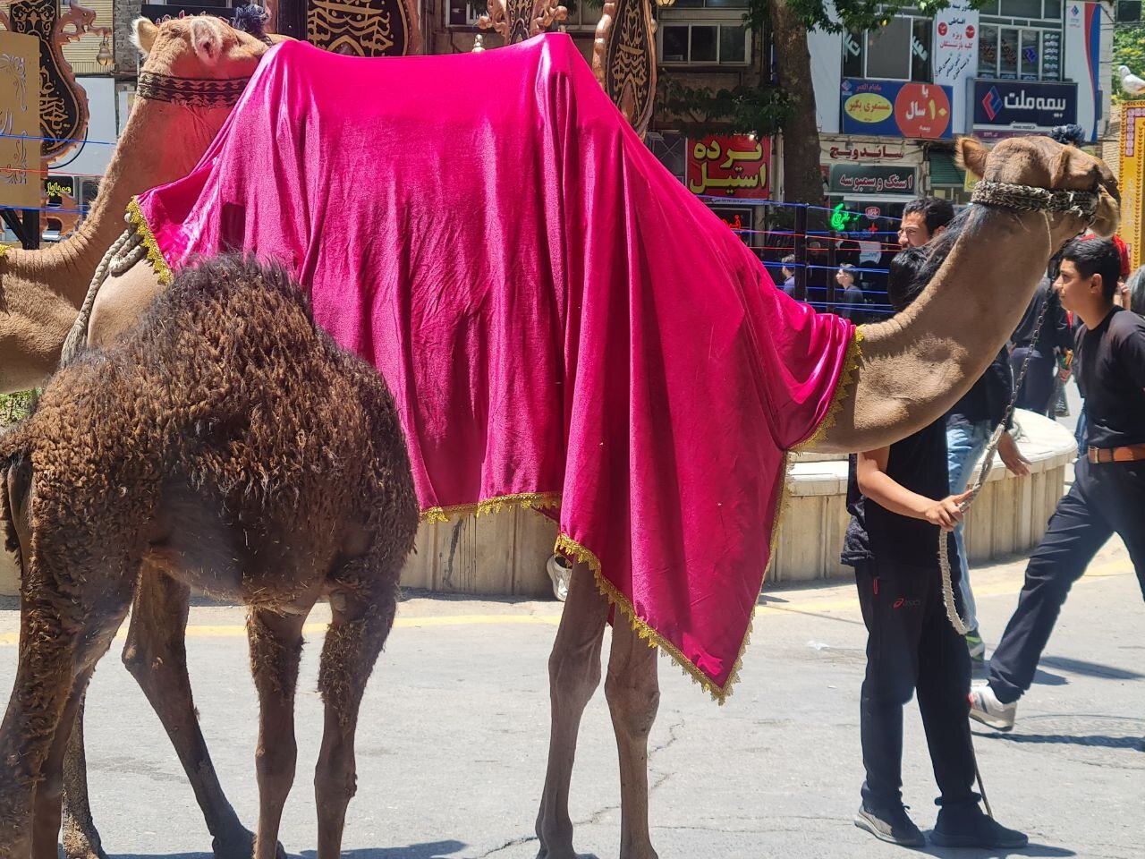 آیینهای محرم خوانسار به روایت تصویر