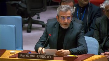 Iran urges UNSC to compel Israel to unconditionally end Gaza genocide