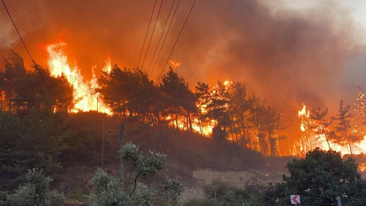 ببینید |  آتش‌سوزی جنگلی در ازمیر ترکیه جان ۳ روستایی را گرفت