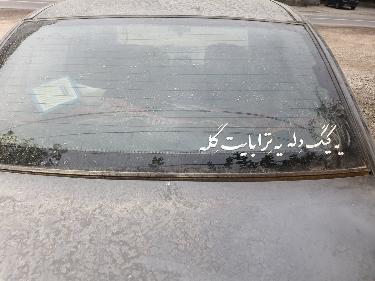 ببینید |  نوشته عجیب پشت یک خودرو در جاده چالوس: یک گیگ دل و چی؟