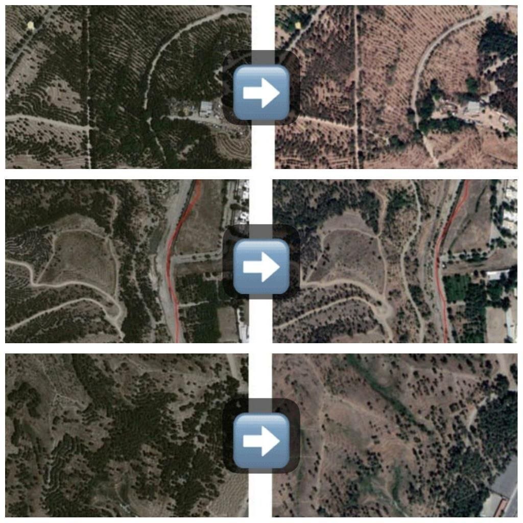 عکس | وقوع یک تراژدی تلخ در پارک چیتگر!
