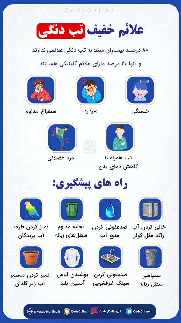 علائم ابتلا به تب دنگی و راههای پیشگیری از آن/ عکس