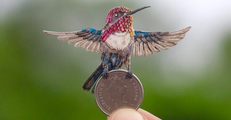 عکس | کوچک‌ترین پرنده جهان