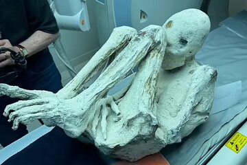 بیگانهای که اثر انگشت دارد/ از اعماق فضا آمده یا دستکاری ژنتیکی شدهاست؟/ عکس بیگانهای که اثر انگشت دارد/ از اعماق فضا آمده یا دستکاری ژنتیکی شدهاست؟/ عکس