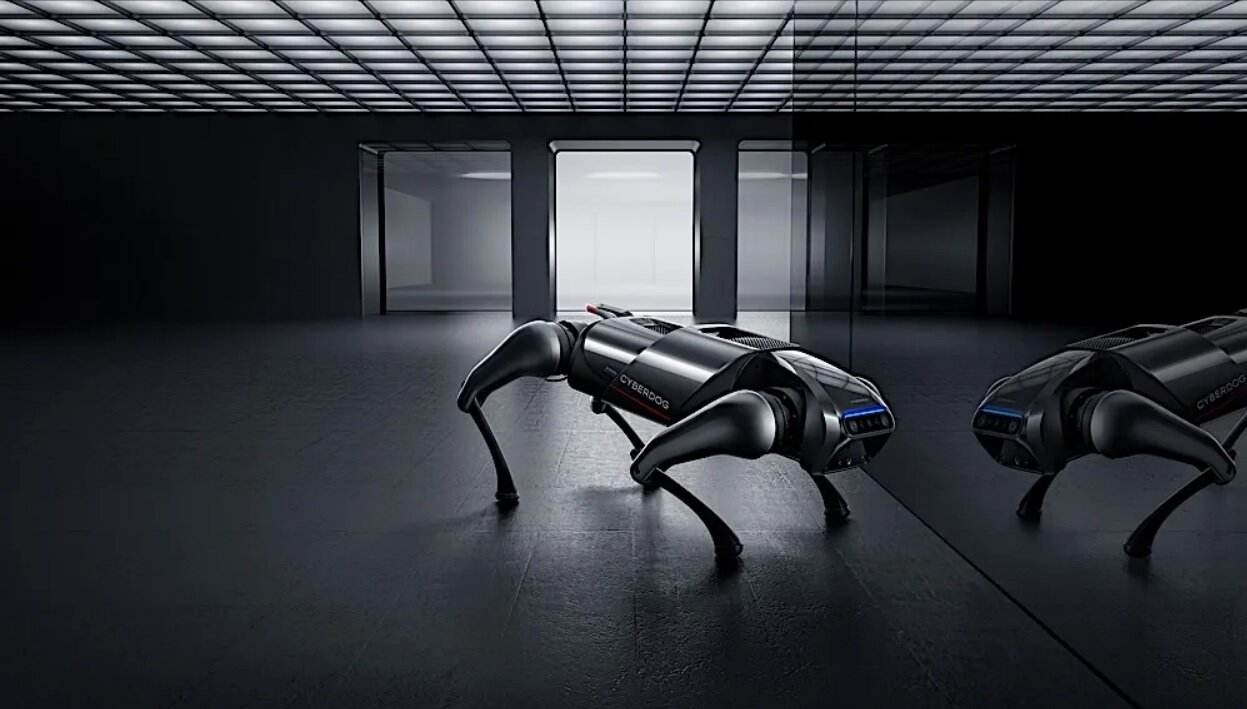 سگی متفاوتی که اینترنت بیسیم را مختل میکند!