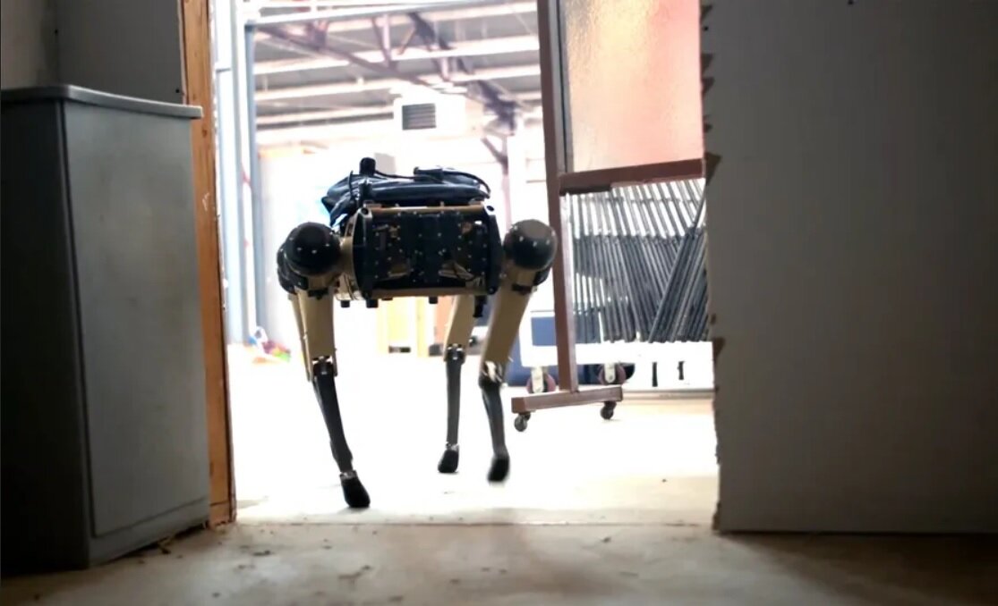 سگی متفاوتی که اینترنت بیسیم را مختل میکند!