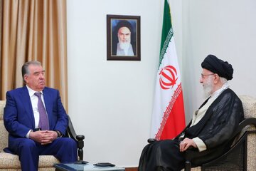 عکسی از عارف در دیدار رئیس جمهور تاجیکستان با رهبر انقلاب