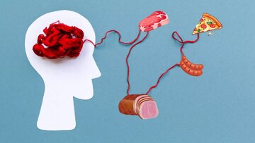 این ماده غذایی، شما را فراموشکار میکند این ماده غذایی، شما را فراموشکار میکند