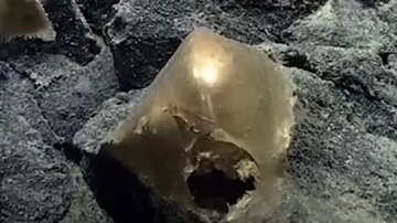 پیدا شدن تخم طلا در دریا ! / عکس پیدا شدن تخم طلا در دریا ! / عکس