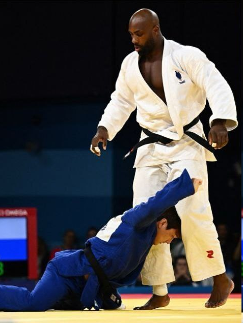 عکس| فیل و فنجان در پاریس!/ خرس گریزلی حریف میطلبد