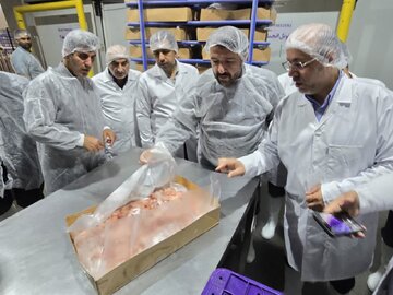 کشتارگاه صنعتی طیورسپید ماکیان با حضور وزیرکشور واستاندارگیلان به بهره برداری می رسد 