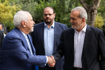 Zarif offers full support for Iranian president after resigning from gov't