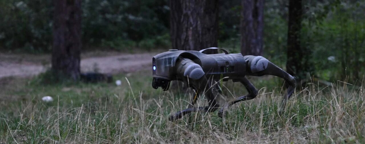 سگهای جنگی اوکراین دردسر تازه روسیه / عکس